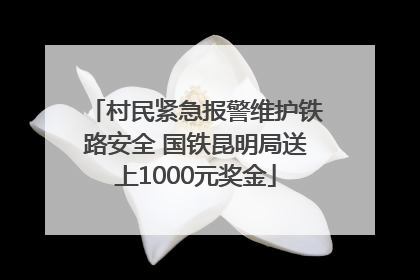村民紧急报警维护铁路安全 国铁昆明局送上1000元奖金